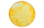 Load image into Gallery viewer, Gouda cheese with eggs I قشقوان و سجق تركي 
