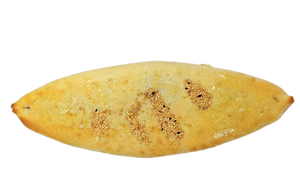 Syrian Sujok I سمبوسة سجق 